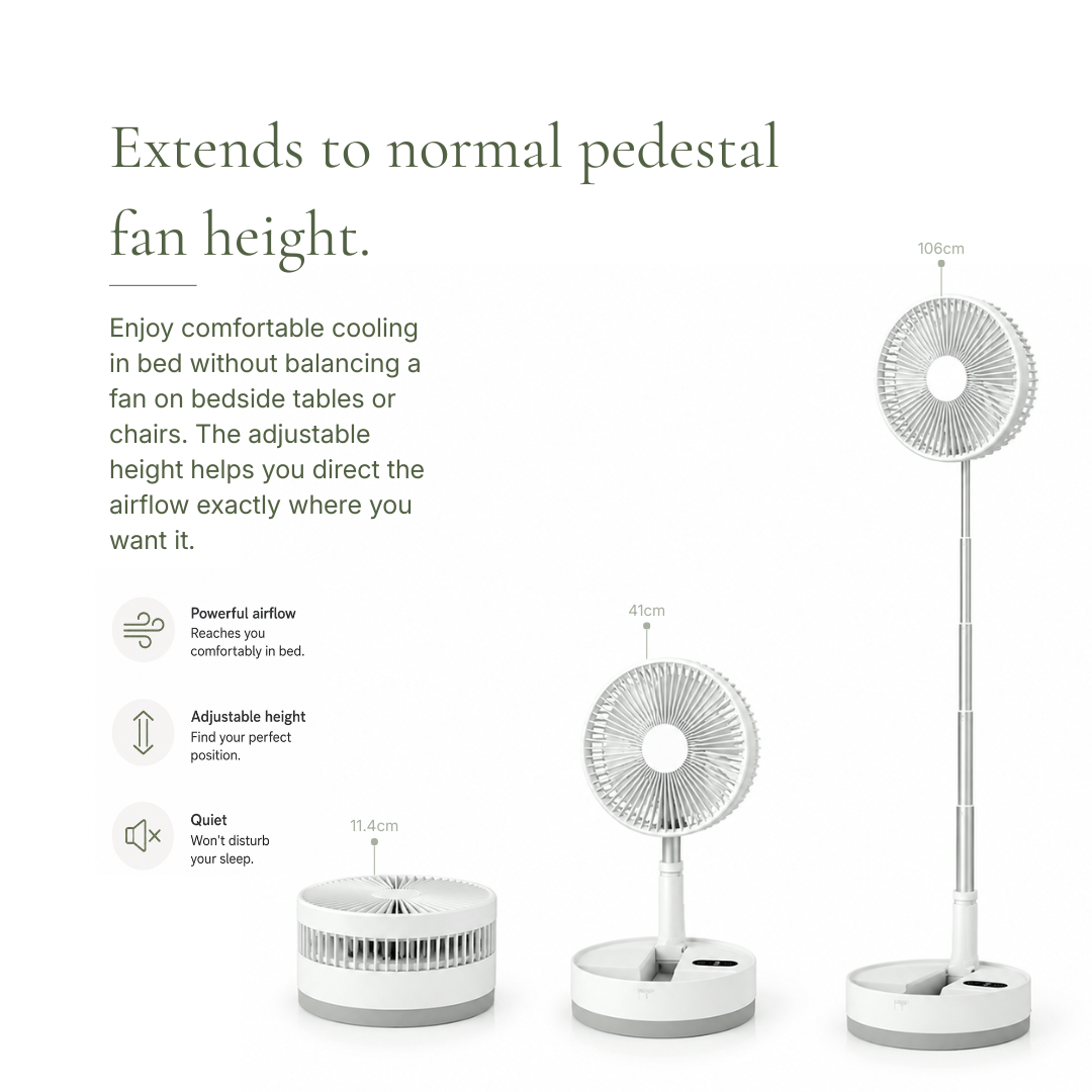 The Folding Fan