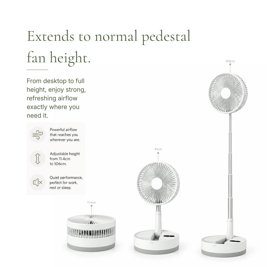 The Folding Fan