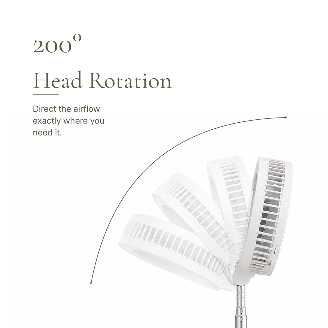 The Folding Fan